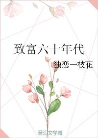 致富六十年代独恋一枝花TXT下载