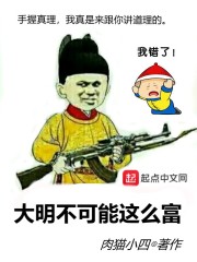 大明不可能这么富小说