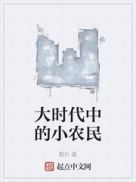 大时代中的小农民起点