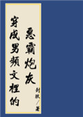 穿进男频搞建基建 下载