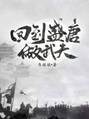 回到盛唐做武夫笔无防盗