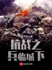 抗战之兵王之王 小说