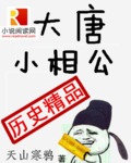 大唐小相公TXT下载