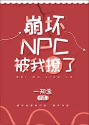 崩坏的npc