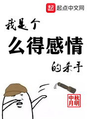 我是么的感情的杀手无删减