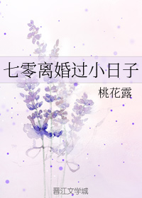 小说七零离婚过小日子