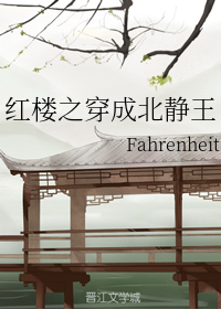 红楼之穿成北静王fahrenheit