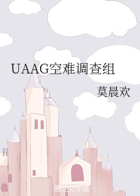 UAAG空难调查组