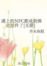 遇上的NPC都成我绑定挂件了[无限]