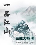 一品江山免费阅读全文无弹窗