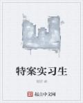 民特案号是什么意思