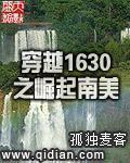 穿越1630之崛起南美护航风云