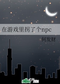 在游戏里拐了个npc