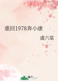 重回1978奔小康免费阅读