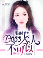 限时婚宠：BOSS大人,不可以