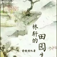 关于林轩的小说能读的