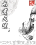 无道天途biquge