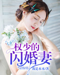 宠妻权少的闪婚新娘