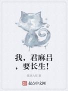 我爱罗打君麻吕第几集