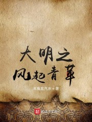 风起大明 小说