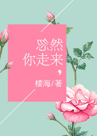 《忽然你走来》