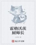 霍格沃茨厨师长小说