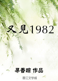 又见1982小说