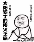 太阳骑士一套