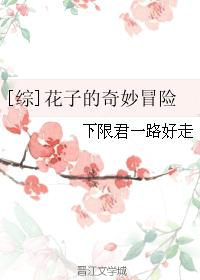 综花子的奇妙冒险txt